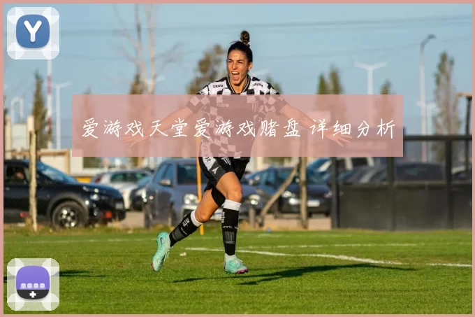 爱游戏天堂爱游戏赌盘 详细分析