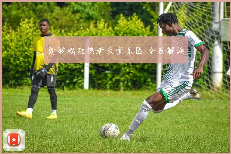 爱游戏狂热者天堂乐园 全面解读