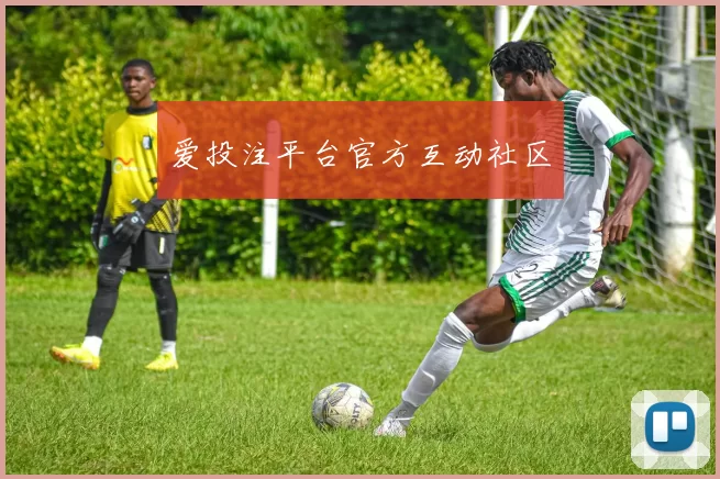 爱投注平台官方互动社区