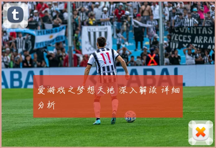 爱游戏之梦想天地 深入解读 详细分析