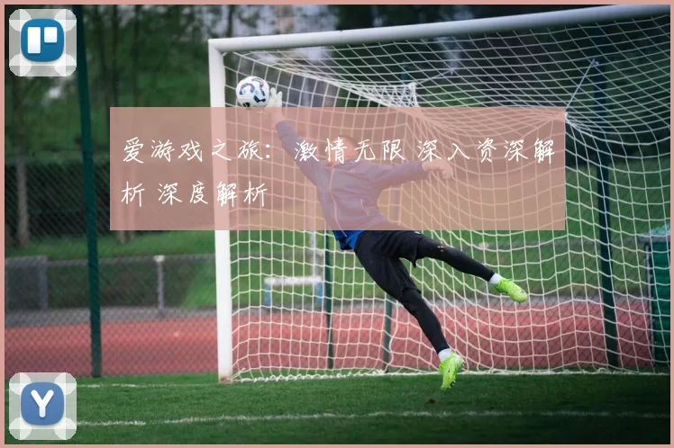 爱游戏之旅：激情无限 深入资深解析 深度解析