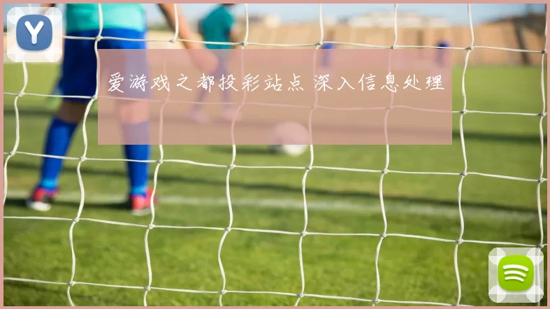 爱游戏之都投彩站点 深入信息处理