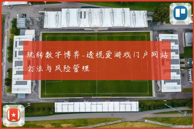 玩转数字博弈_透视爱游戏门户网站打法与风险管理