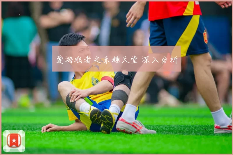 爱游戏者之乐趣天堂 深入分析