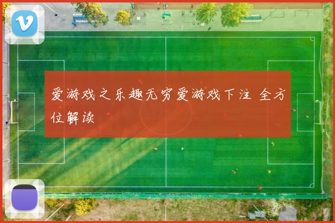 爱游戏之乐趣无穷爱游戏下注 全方位解读