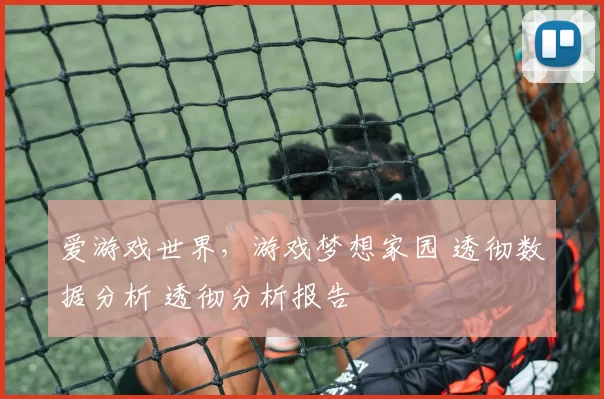 爱游戏世界，游戏梦想家园 透彻数据分析 透彻分析报告