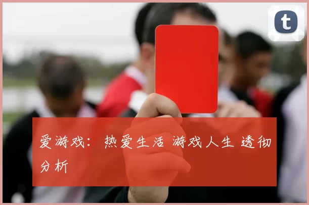 爱游戏：热爱生活 游戏人生 透彻分析