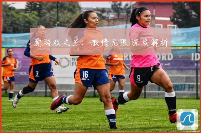 爱游戏之王：激情无限 深度解析