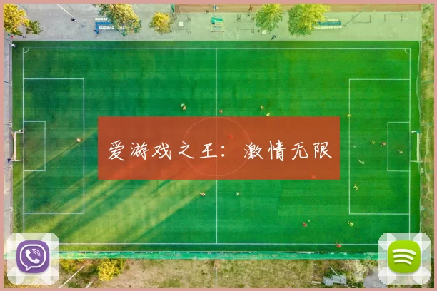 爱游戏之王：激情无限