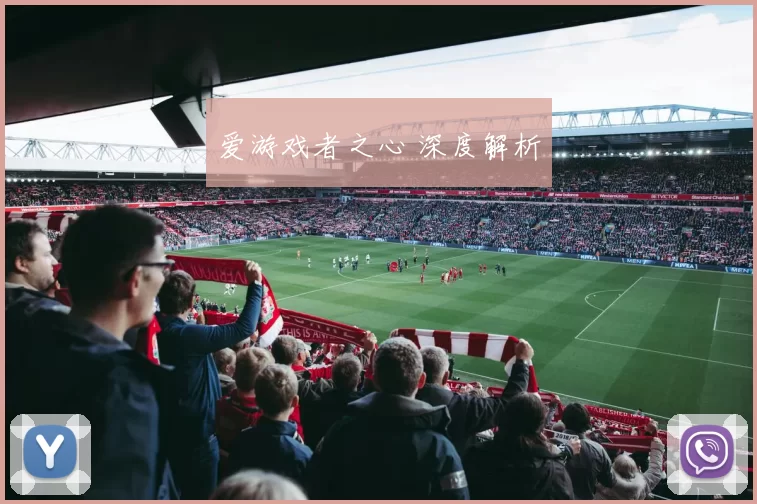 爱游戏者之心 深度解析