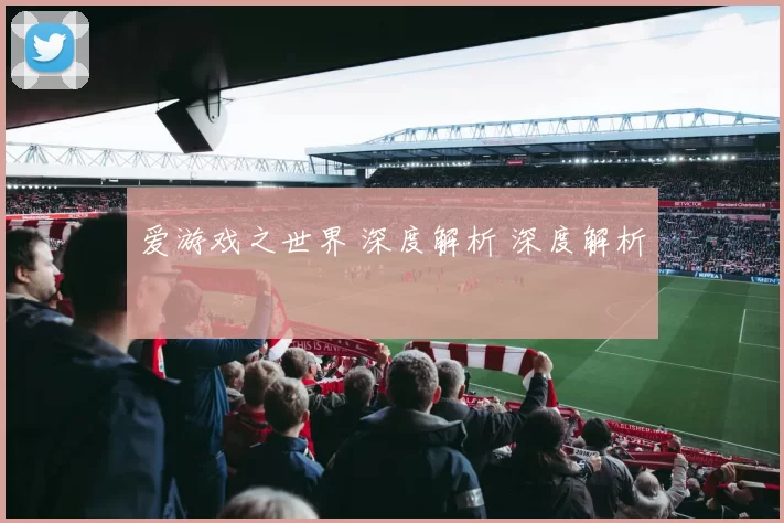 爱游戏之世界 深度解析 深度解析