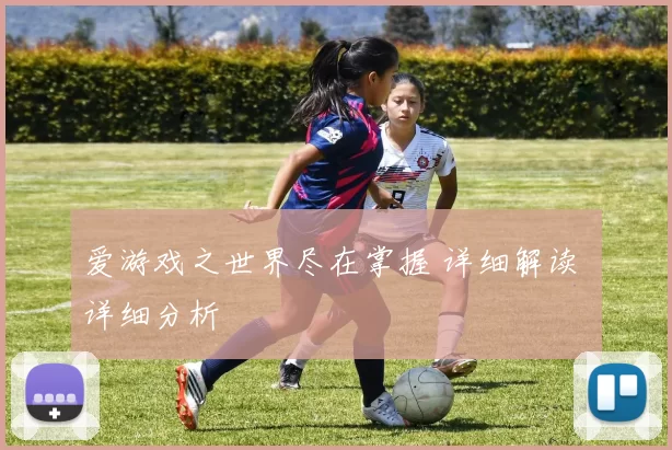 爱游戏之世界尽在掌握 详细解读 详细分析