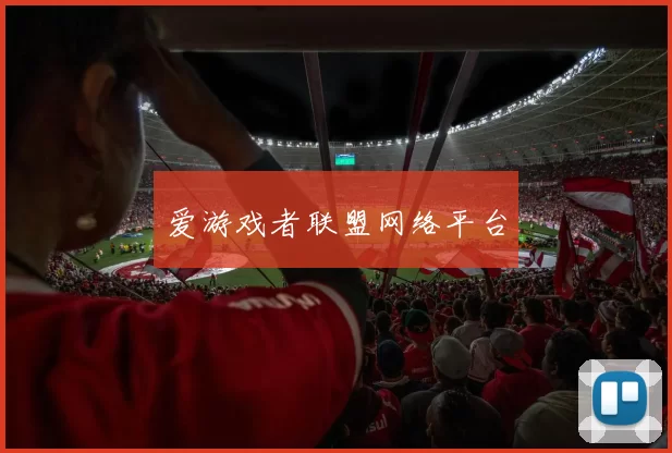 爱游戏者联盟网络平台