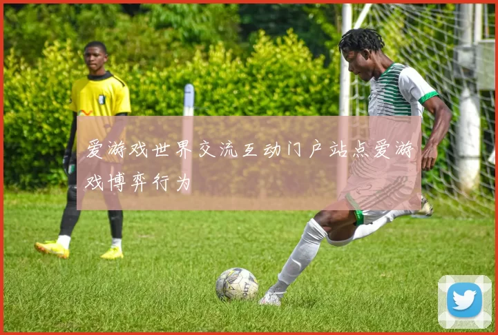 爱游戏世界交流互动门户站点爱游戏博弈行为