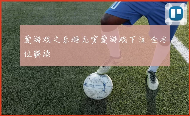 爱游戏之乐趣无穷爱游戏下注 全方位解读