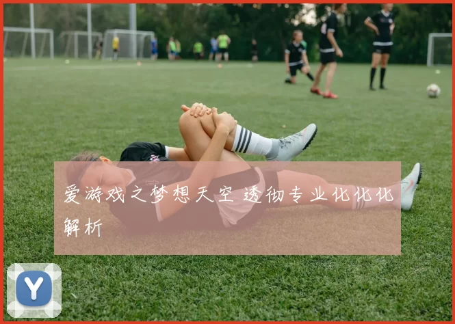 爱游戏之梦想天空 透彻专业化化化解析