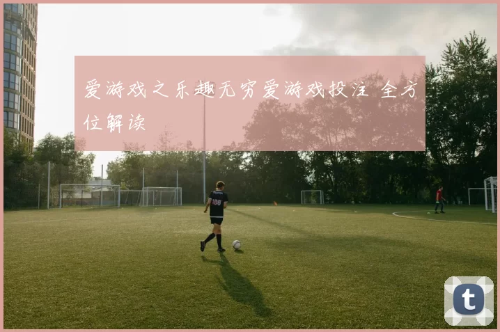 爱游戏之乐趣无穷爱游戏投注 全方位解读