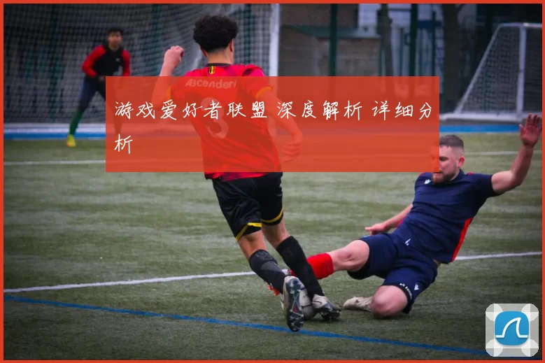 游戏爱好者联盟 深度解析 详细分析